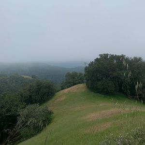 Meet your Posher, Lulu